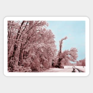 Southern Illinois Winter Scene 8_ Dec 2012 Sticker